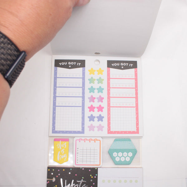 Multi-Accessory Pack (Mostly Complete) - "Habit Tracking" (2018) - Happy Planner DeStash