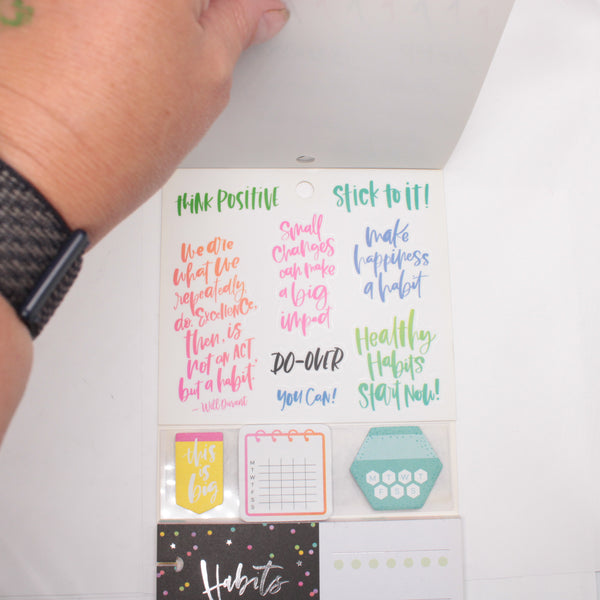 Multi-Accessory Pack (Mostly Complete) - "Habit Tracking" (2018) - Happy Planner DeStash