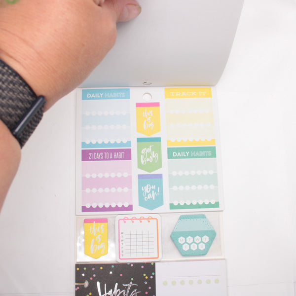 Multi-Accessory Pack (Mostly Complete) - "Habit Tracking" (2018) - Happy Planner DeStash