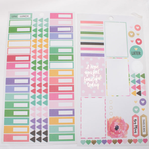 Large Lot of 48 pages of Stickers - Happy Planner DeStash