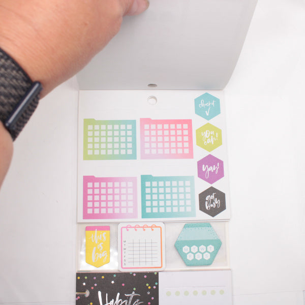 Multi-Accessory Pack (Mostly Complete) - "Habit Tracking" (2018) - Happy Planner DeStash