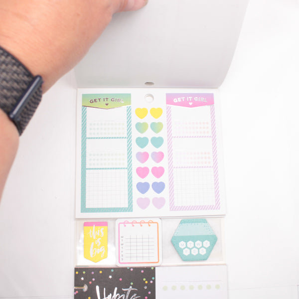 Multi-Accessory Pack (Mostly Complete) - "Habit Tracking" (2018) - Happy Planner DeStash