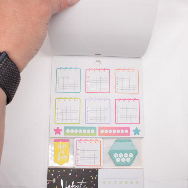 Multi-Accessory Pack (Mostly Complete) - "Habit Tracking" (2018) - Happy Planner DeStash