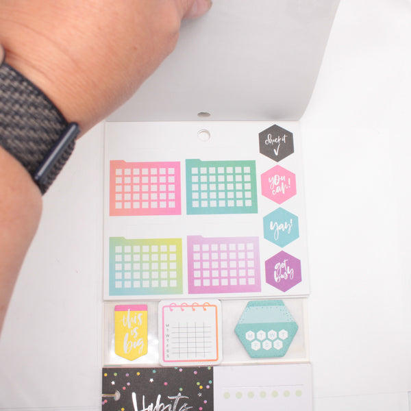 Multi-Accessory Pack (Mostly Complete) - "Habit Tracking" (2018) - Happy Planner DeStash