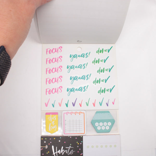 Multi-Accessory Pack (Mostly Complete) - "Habit Tracking" (2018) - Happy Planner DeStash