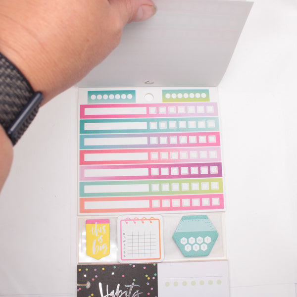 Multi-Accessory Pack (Mostly Complete) - "Habit Tracking" (2018) - Happy Planner DeStash