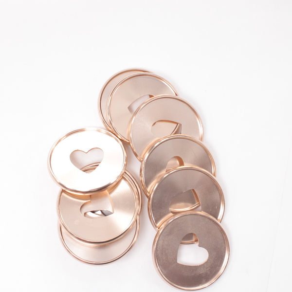 Metal Expansion Disks (1.75") - Rose Gold - Happy Planner DeStash