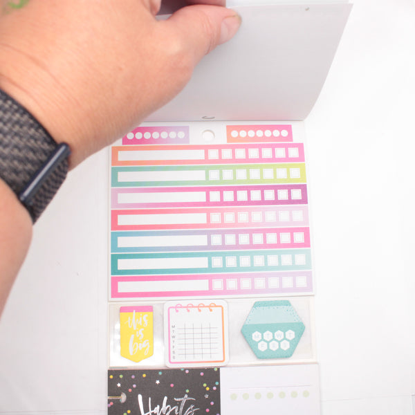 Multi-Accessory Pack (Mostly Complete) - "Habit Tracking" (2018) - Happy Planner DeStash